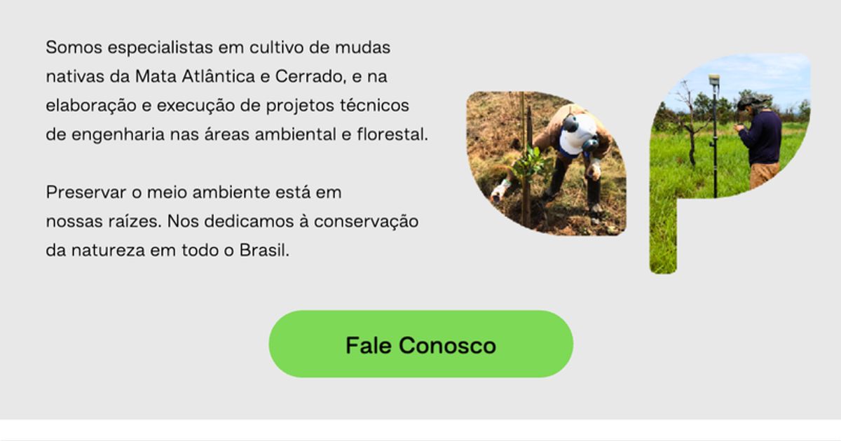 Plantae Reflorestamento Ltda